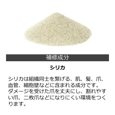 アスリートネイル 爪補強コート2 athlete nail nail reinforcement coat 2